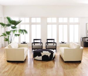 Màu sơn ưa chuộng nhất 2022 - trắng kem- Thành Phát Paint